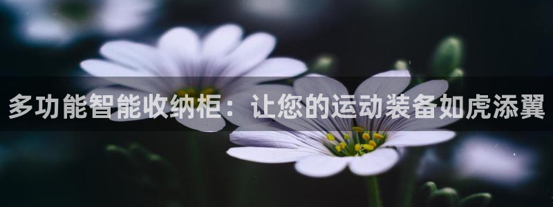 意昂4娱乐网站：多功能智能收纳柜：让您的运动装备如虎