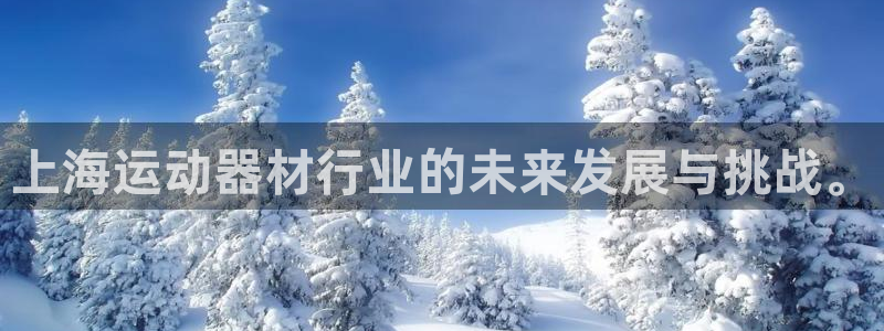 意昂体育4平台APP：上海运动器材行业的未来发展与挑