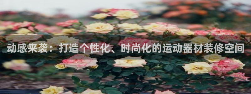 意昂体育4平台注册流程图：动感来袭：打造个性化、时尚
