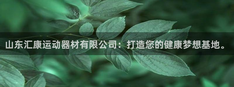 意昂体育4招商：山东汇康运动器材有限公司：打造您的健康梦想基