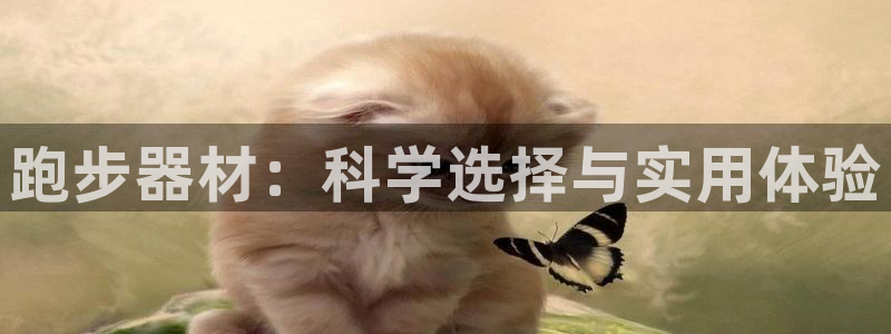 意昂体育4招商电话号码是多少：跑步器材：科学选择与实