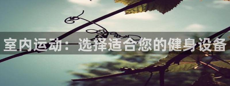 意昂体育4注册：室内运动：选择适合您的健身设备