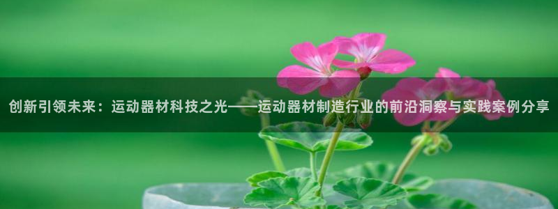 意昂体育4平台注册流程图：创新引领未来：运动器材科技之光——