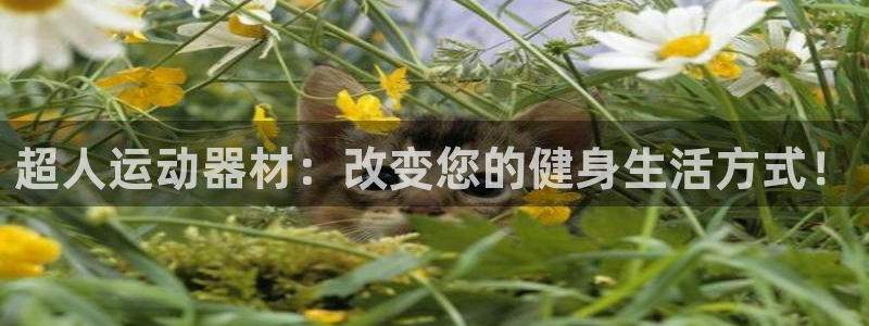 意昂体育4招商电话号码是多少：超人运动器材：改变您的