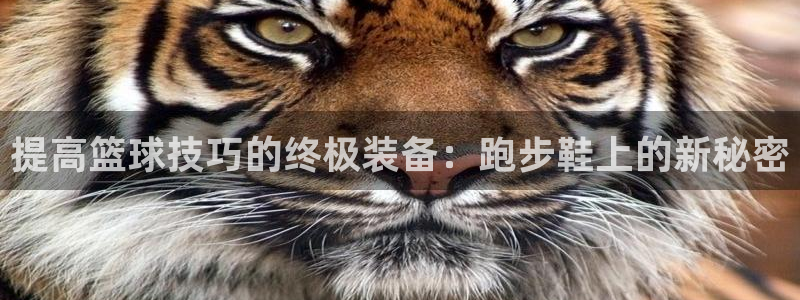 意昂4集团官网首页网址：提高篮球技巧的终极装备：跑步
