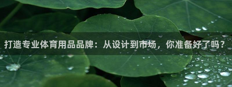 意昂4集团官网首页：打造专业体育用品品牌：从设计到市