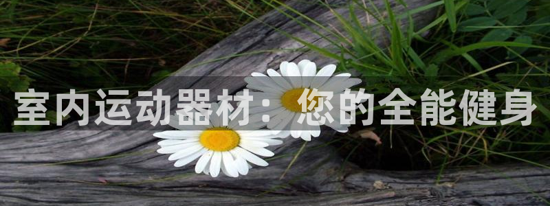 海南意昂体育4发展怎么样：室内运动器材：您的全能健身