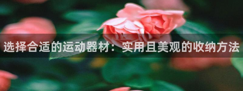 德国意昂4集团：选择合适的运动器材：实用且美观的收纳方法