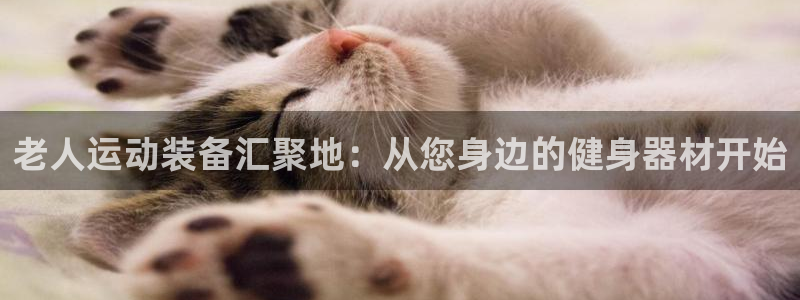 意昂体育4招商电话号码：老人运动装备汇聚地：从您身边的健身器