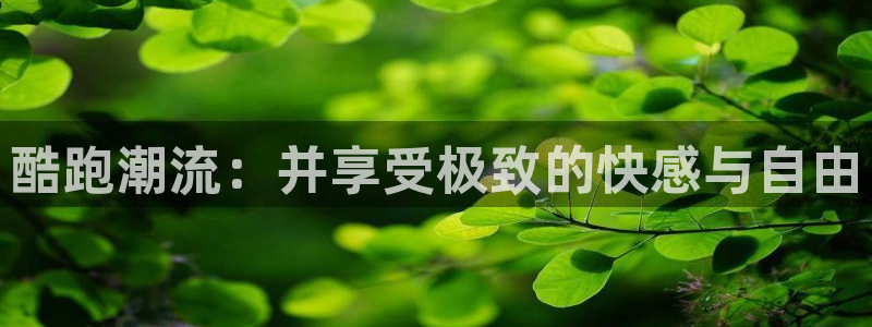 意昂4集团官网首页：酷跑潮流：并享受极致的快感与自由