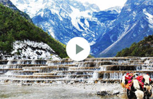 2017年J9集团直营科技团建-云南之旅